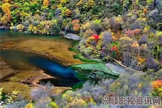 丰满人妻熟妇乱偷人无码九幺1.0.31安卓高风险：探索未知，激情画面引发心跳，带你进入刺激的游戏世界！