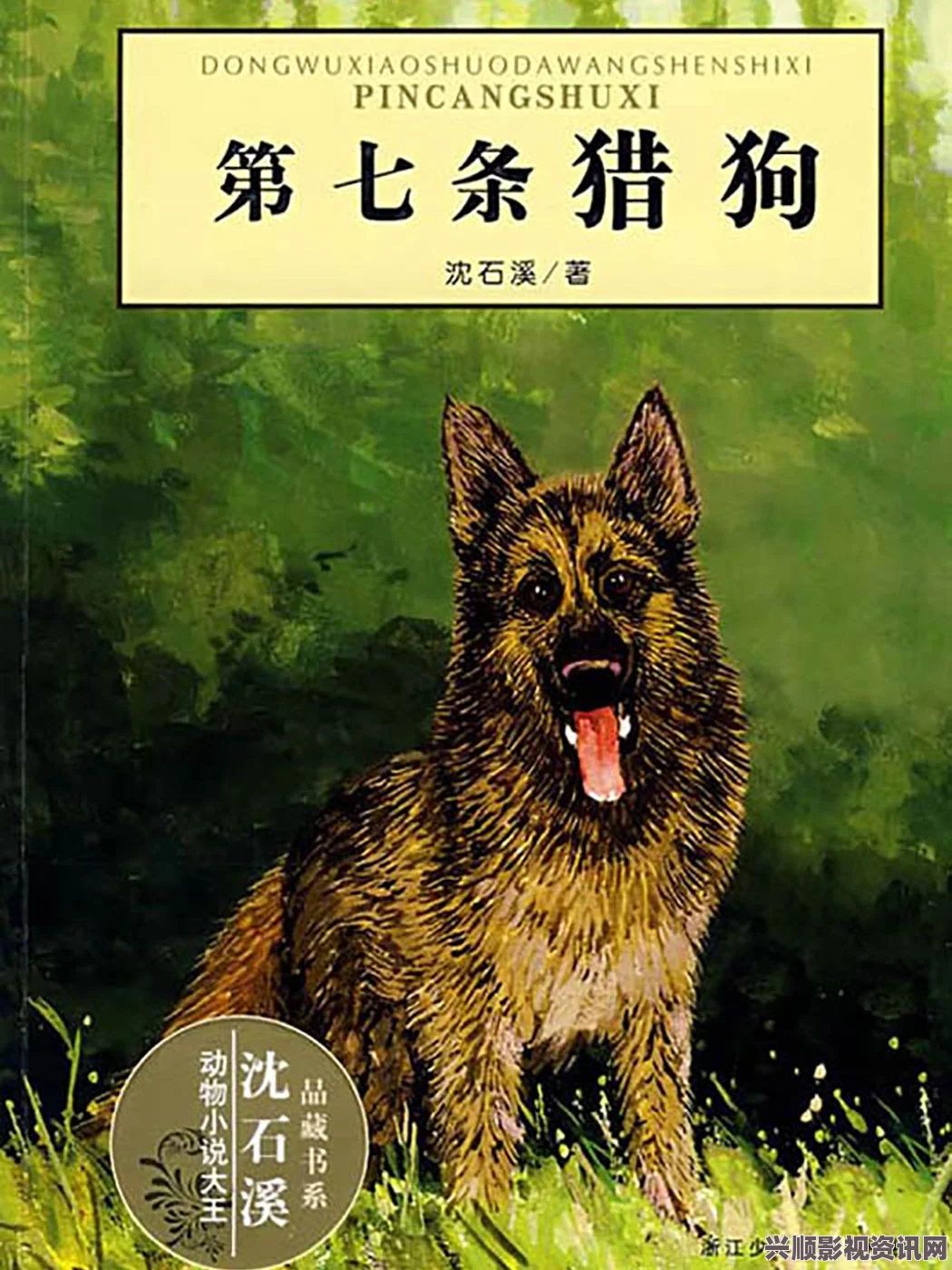 人or猪or狗牡丹直播频道免费——探索刺激武打片与影视小说的精彩评价