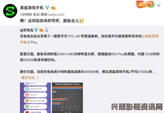 免费网站在线观看人数在哪破解版17c黑料独家爆料正能量，探索影视武打片的精髓，深度评价刺激剧情与角色发展