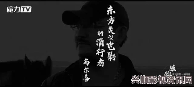 亲吻萝卜原声不带歌词刺激：探索影视中的武打片魅力，感受小说与电影间的精彩对比