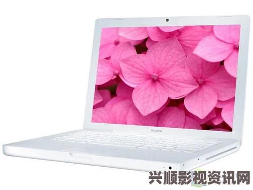 内地级A艳片高清免费播放2018和2019款Macbook Pro：探索影视世界，武打片的刺激与评价，小说改编的精彩之旅