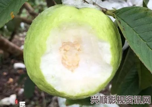 绿巨人丝瓜草莓秋葵小猪芭乐，这个标题结合了多种元素，展现了一种丰富的色彩和乐趣，仿佛是一个生动的夏日拼盘。