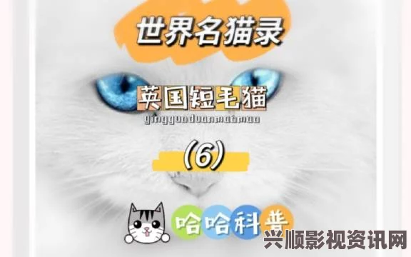 免费网站在线观看人数在哪破解版猫咪网站最新地域网名怎么取：我认为可以结合当地特色和猫咪的可爱特点，创造出独特又有趣的网名。