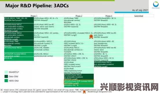 ADC年龄确认欢迎海内外＂，这一举措展示了全球合作的重要性，能够促进技术交流与发展，实现互利共赢。