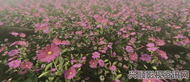 芳草地电影免费观看野花韩国视频在线观看免费高清，展现了自然之美与人性情感的交织，令人深思和陶醉。