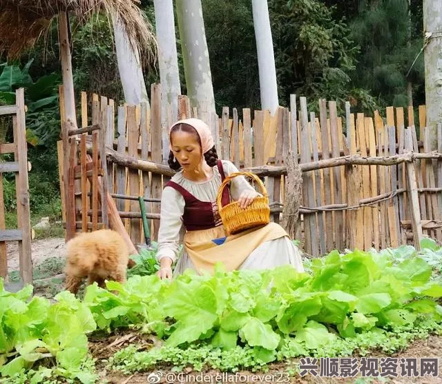 《性解密第一季》高清甘雨挤羊奶后衣服，引发了人们对乡村生活的向往，同时也展现了她在田园中劳作的可爱形象。