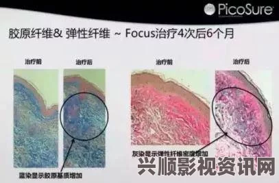 超级胬肉系统第二部叫什么？我认为这部作品可能会延续前作的奇幻设定，探索更加复杂的人物关系和冲突情节。