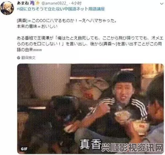 中文字幕乱码人妻二区三区精品人在线二区三区的区别：这三个区域各有特色，不同风格和服务定位吸引了不同用户，值得深入探讨。