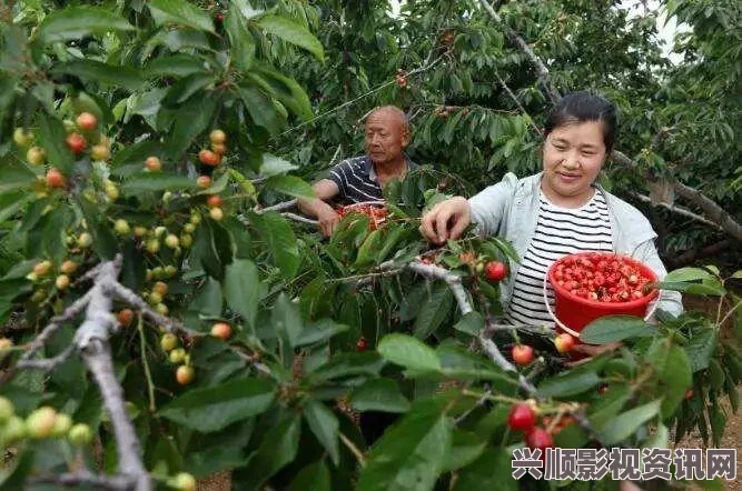 黄桃视频：这款视频平台以其独特的内容和丰富的互动体验，吸引了众多用户，让人乐于探索。