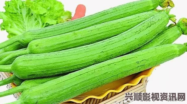 9.8分成人动画草莓丝瓜榴莲秋葵污污无限看下载，结合了多种元素，丰富多彩且充满创意，让人忍不住想一探究竟。