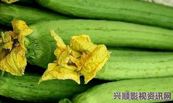 9.8分成人动画草莓丝瓜榴莲秋葵污污无限看下载，结合了多种元素，丰富多彩且充满创意，让人忍不住想一探究竟。