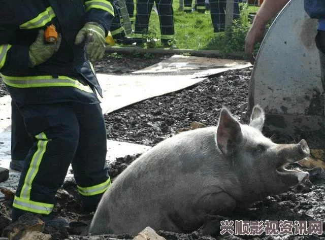 极无双，揭秘三国兵器排行榜，最强兵器究竟花落谁家？