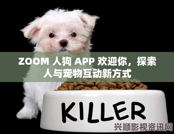 ZOOM大狗：探索智能科技如何改变宠物互动与训练方式