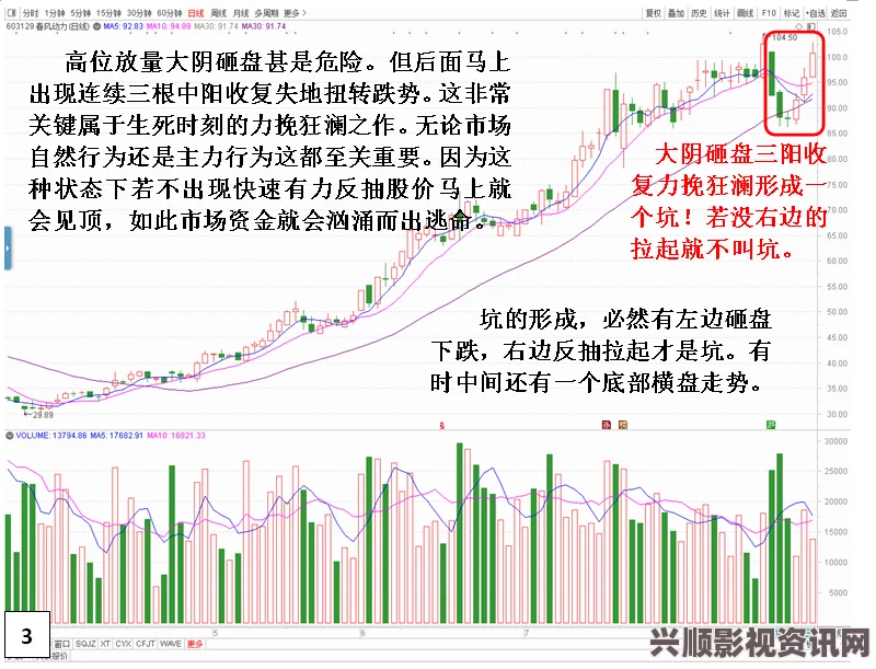 揭开欧亚尺码专线欧洲B1B1热销背后的原因与市场趋势