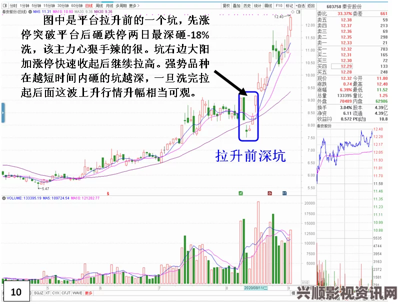 揭开欧亚尺码专线欧洲B1B1热销背后的原因与市场趋势