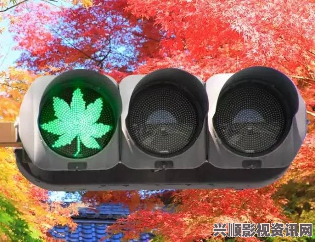 深入探讨黄三色与红三色的区别及其应用领域