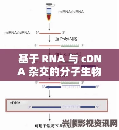 RNA与cDNA杂交技术在基因表达研究中的应用与意义探讨