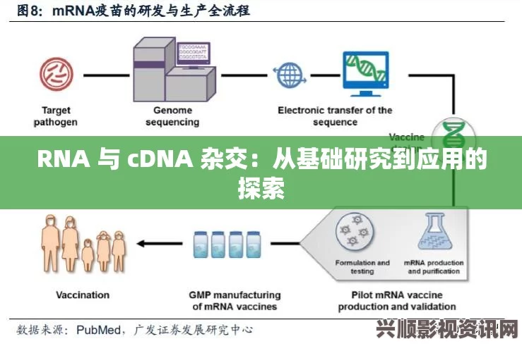 RNA与cDNA杂交技术在基因表达研究中的应用与意义探讨