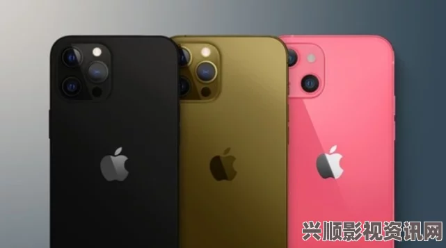 王阿姨IPHONE13