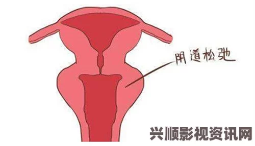 探索八爪鱼紧缩术的原理与应用：提升减重效果的新方法