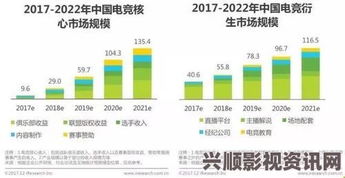 深入解析亚洲有码薄码的文化背景与市场趋势