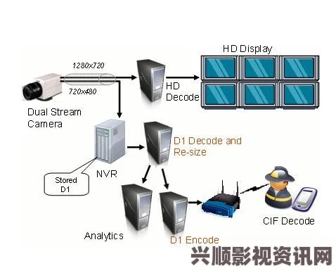 深入解析VIDEOCODECWM视频解码器的工作原理与应用背景