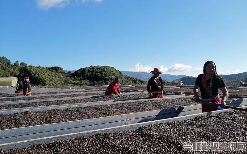 探索优质国产精品卡一卡2卡三卡网站的独特魅力与精彩内容