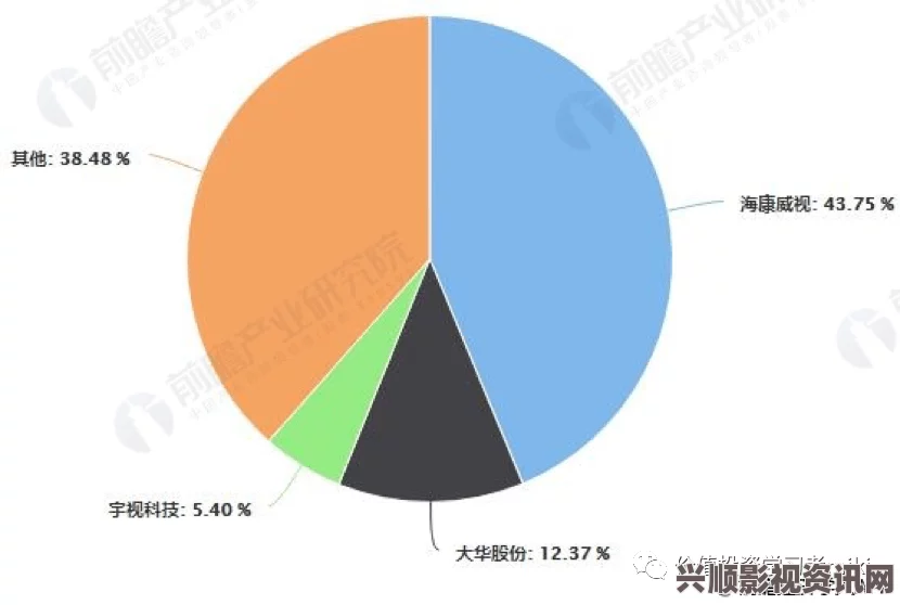 深入解析视频行业一线、二线、三线市场的发展现状与未来趋势