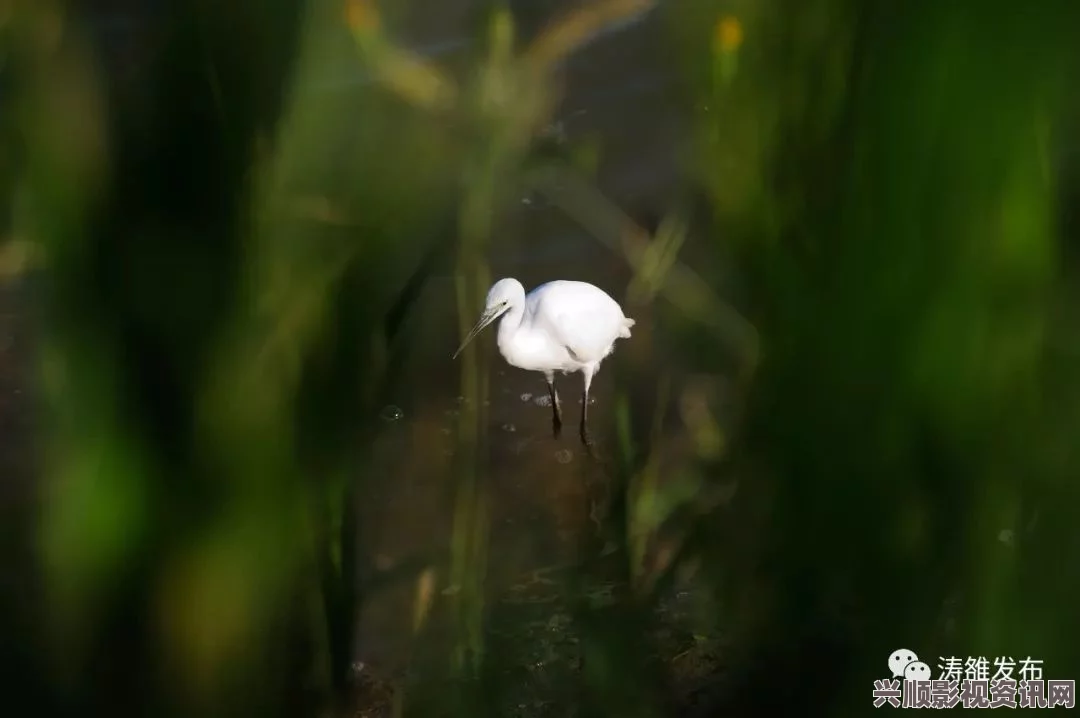 芳草萋萋流水潺潺：探索新游戏的唯美世界与奇幻冒险