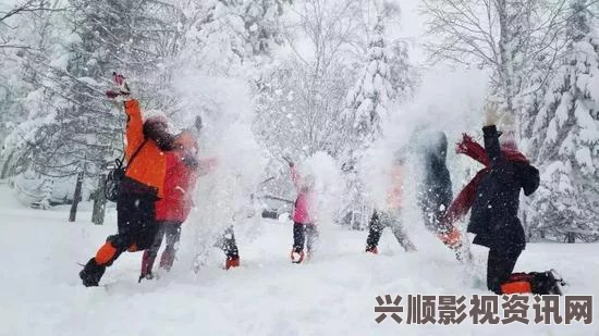 东北大叔VLOG回顾：那些年我们一起追的精彩瞬间与故事