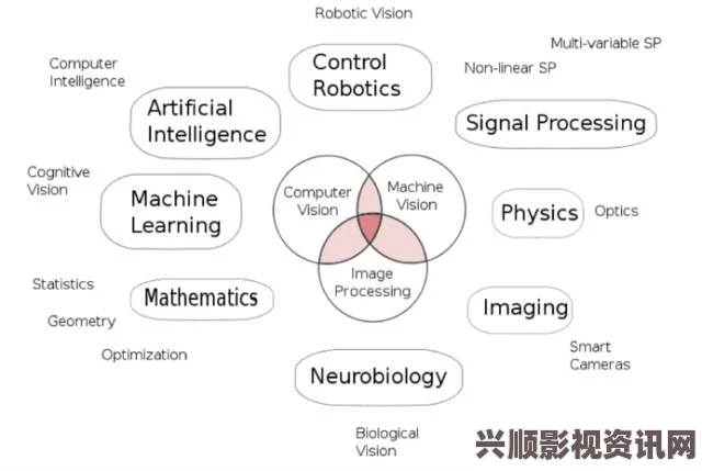 深入解析澳门无人区一码、二码、三码的具体区别与应用场景