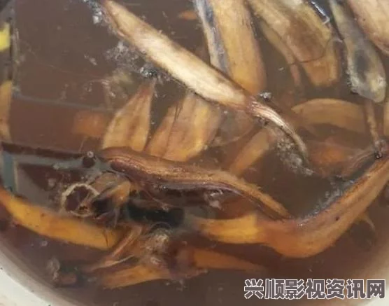 探索国产无人区玫瑰香蕉的独特风味与种植潜力