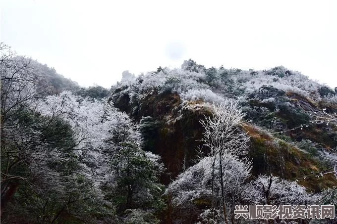 两个雪球在晃动中交融的奇妙瞬间与冬日温暖的故事