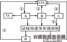 全面解析jy收集系统姜落柒：功能、使用技巧与应用案例