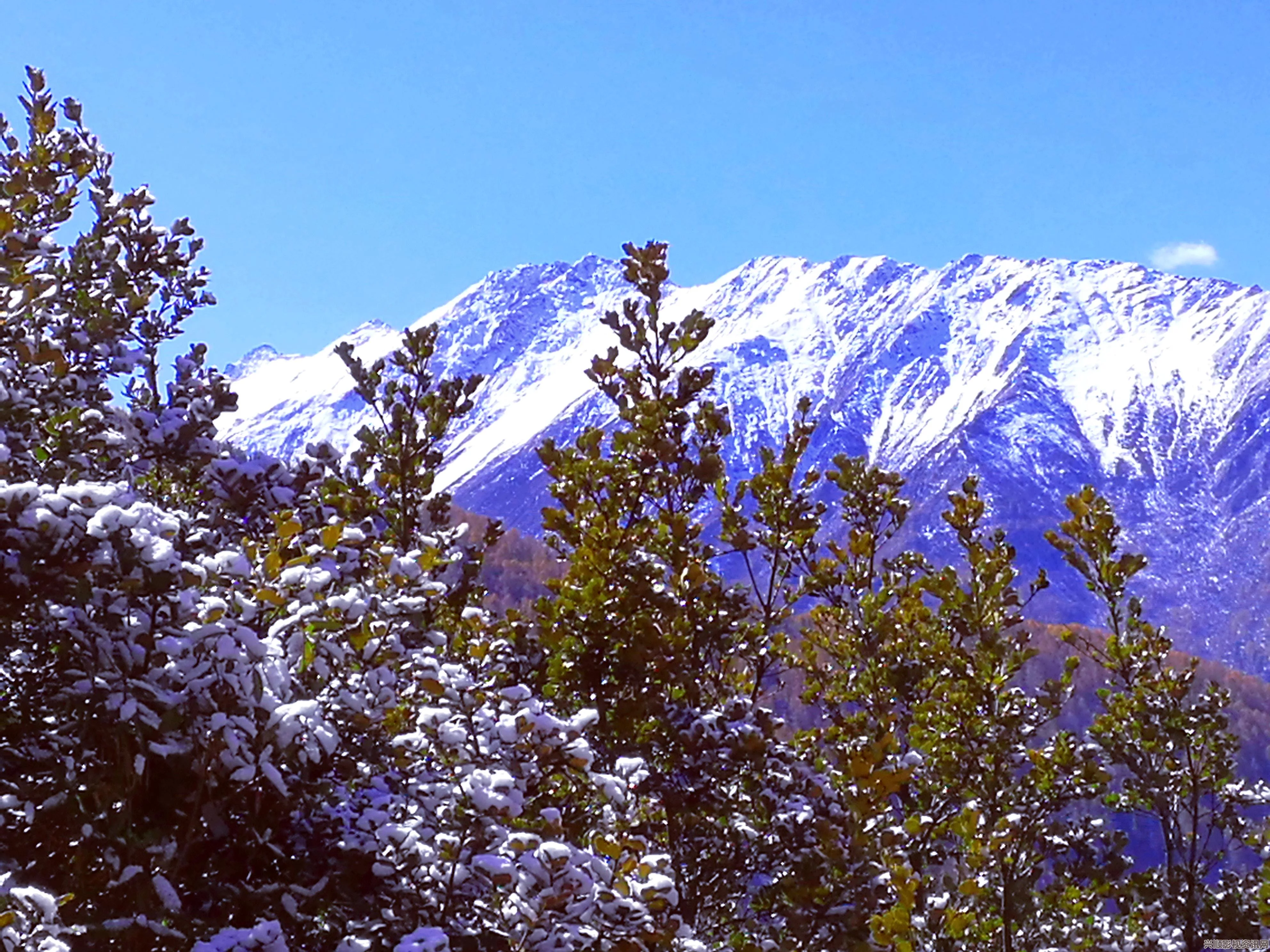 巍峨壮丽的又大又白两座山峰，探寻自然的奇妙之旅