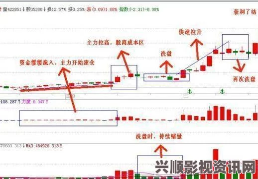 深入解析日韩一分区与二分区的区别及其对市场的影响