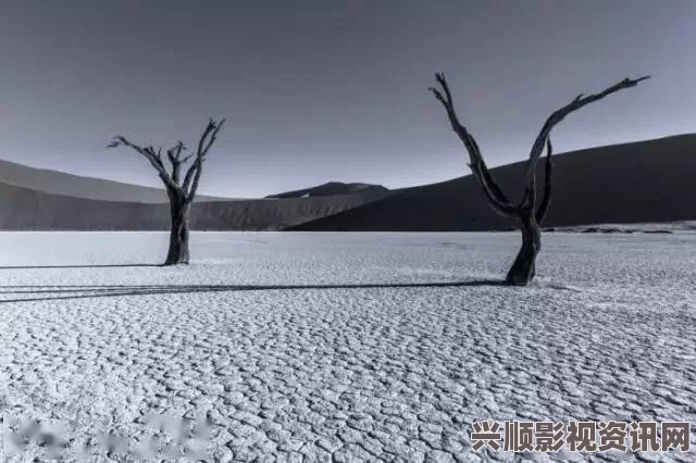 灰雨真相揭秘，幻想与现实的微妙界限