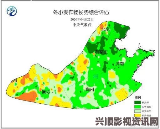 “一产区与二产区产品高清对比：揭示品质差异与市场价值”