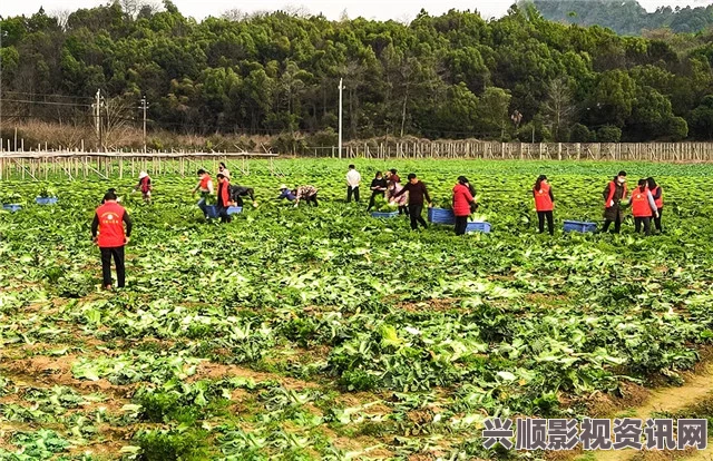 儿子耕种母亲的田地，这种情感与责任的结合有何深意？