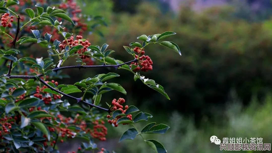 揭秘大妈山坡背后的皮肉生意：隐秘交易与人性考验