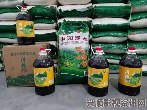 全面评测成品网站入口网页版的使用体验与功能优势