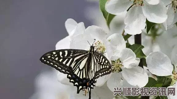 宝贝我不想再带小雨伞，甜蜜梨花糖的温暖陪伴