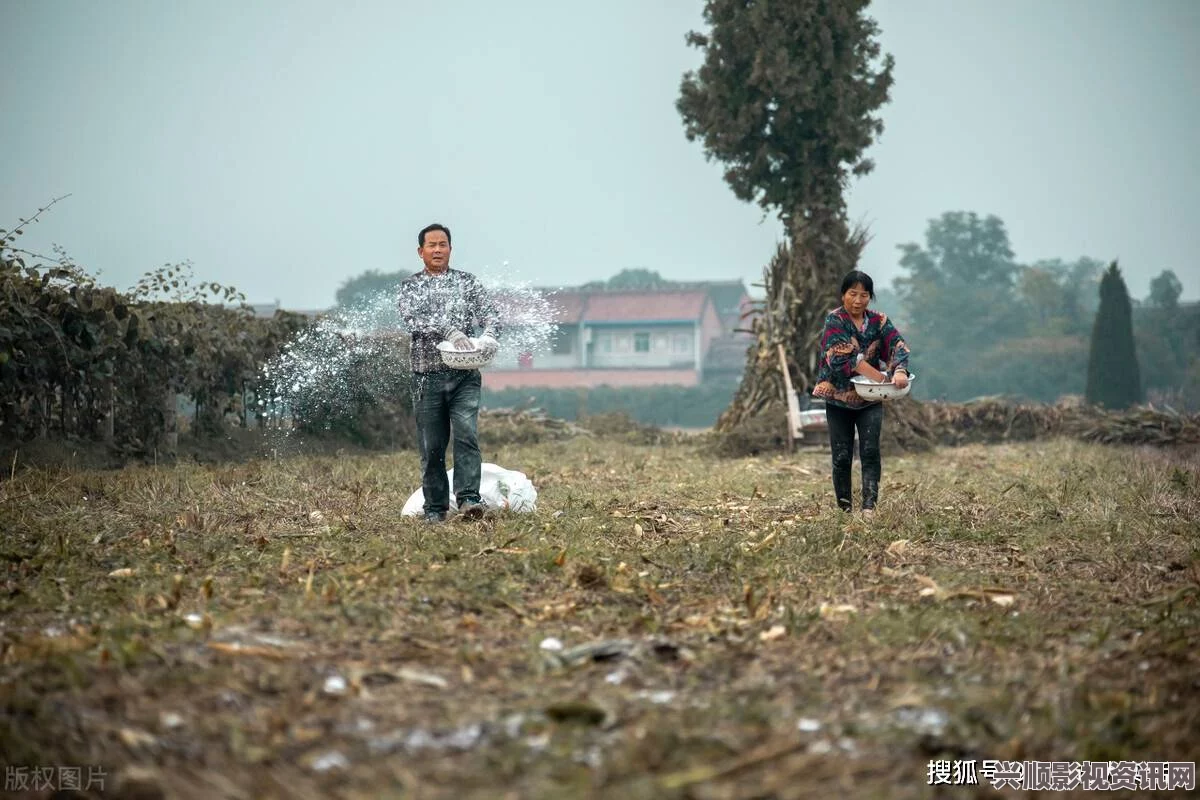 儿子毅然接过母亲荒废的田地，重燃希望与乡村梦想