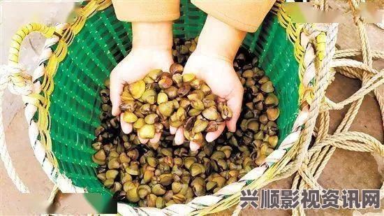 “小猪鸭脖与向日葵芭乐草莓的完美结合：最新美味搭配推荐”