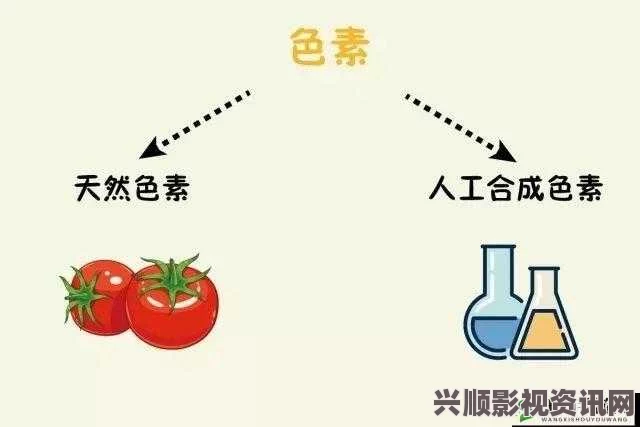 深入解析9988色母CMDS成分表及其应用优势与注意事项