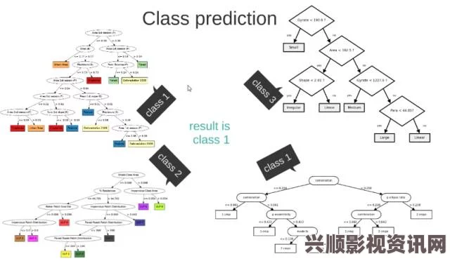 深入解析欧洲M码与亚洲S码的尺寸差异及适用范围