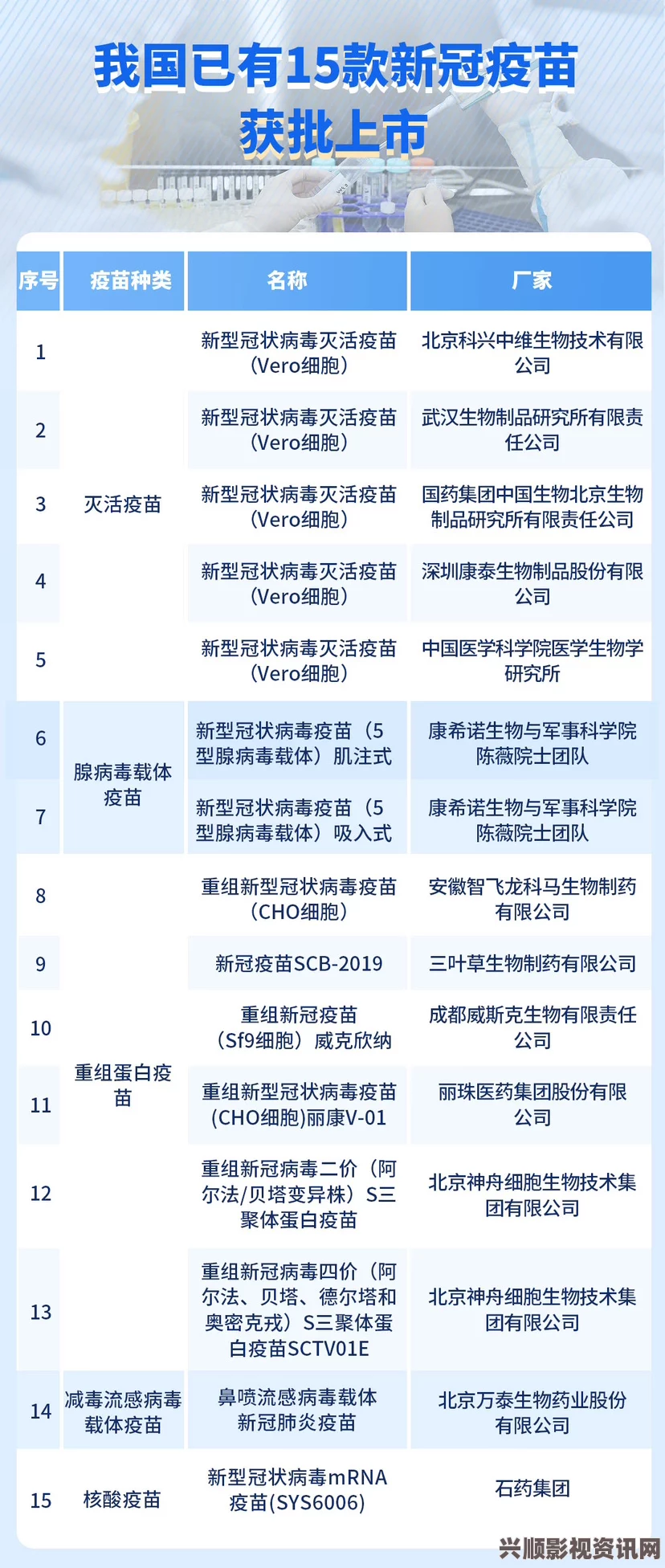 探秘九幺1-0-31版本：新功能与改进全解析