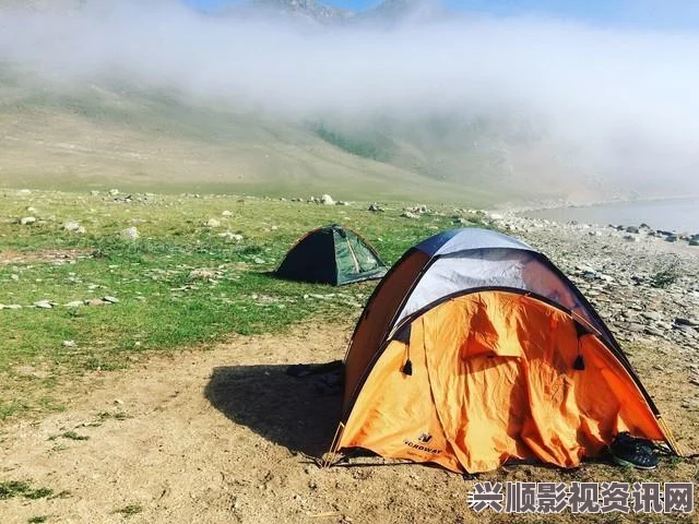 自己坐下去：在忙碌生活中寻找内心宁静的艺术与技巧