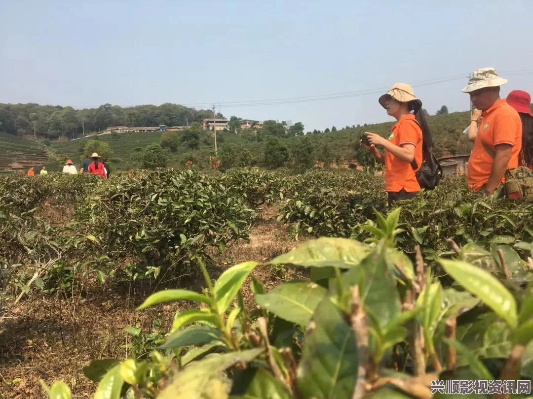 明日之后营地鱼塘钓鱼全面攻略，钓鱼玩法深度解析