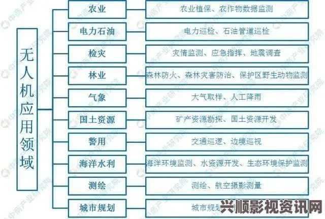 深入解析无人区码一码、二码、三码的含义与应用